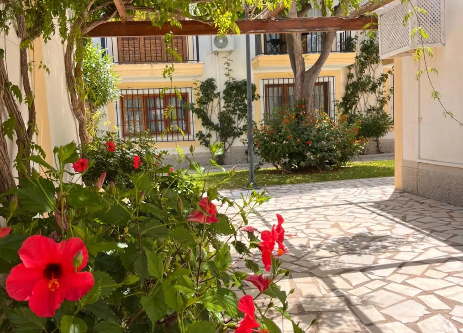 Casa De Olivia Vera Coast Los Amarguillos Daire